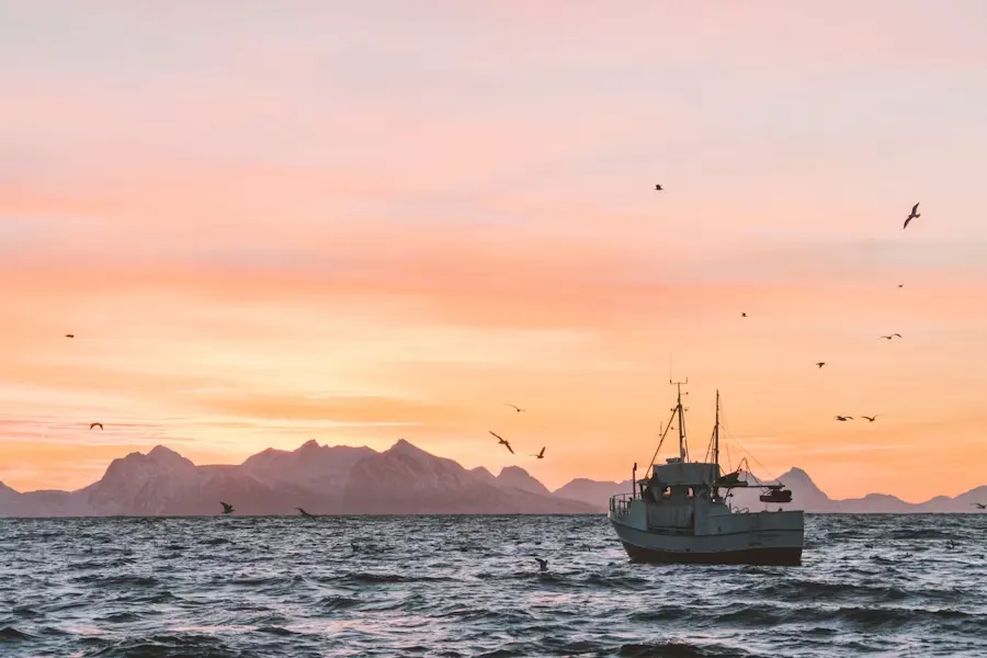 Other Maritime Industry