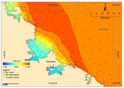 Numerical Simulations